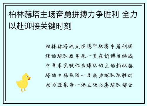 柏林赫塔主场奋勇拼搏力争胜利 全力以赴迎接关键时刻 柏林赫塔主场奋勇拼搏力争胜利 全力以赴迎接关键时刻